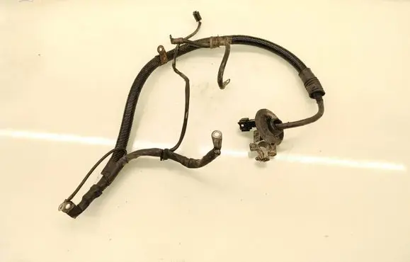 Mercedes-Benz B W245 Positive cable (battery) A1695400209