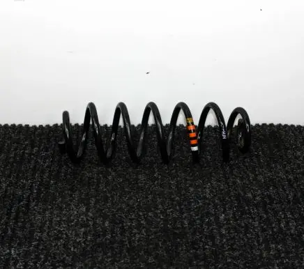 Volkswagen Touran I Rear coil spring
