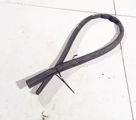 Audi A6 S6 C6 4F Rubber seal front coupe door 
