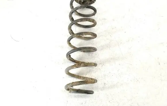 Rear coil spring