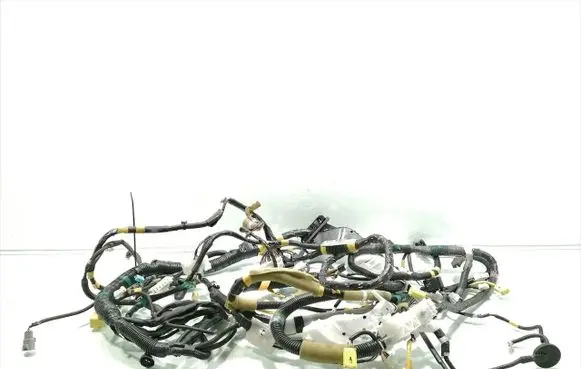 Right interior wiring harness