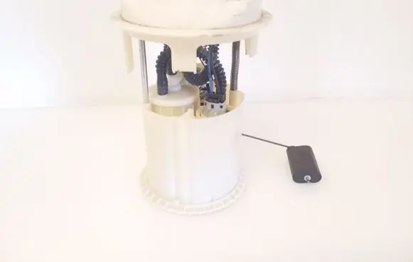 Citroen C3 In-tank fuel pump 0580314035 9649418280
