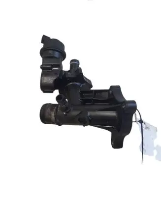 Nissan Qashqai Thermostat/thermostat housing 110601797R