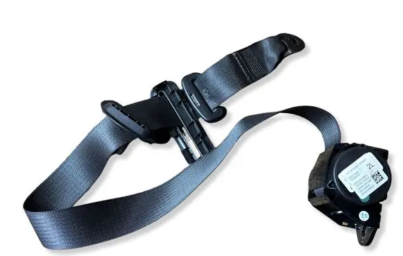 Dodge Charger Rear seatbelt 6406973
