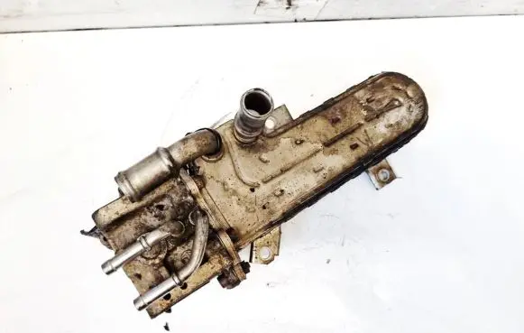 Skoda Octavia Mk2 (1Z) EGR valve cooler 038131513AD 03G131063E
