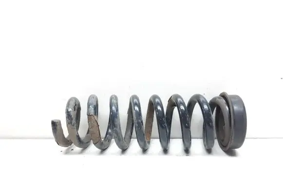 Rear coil spring