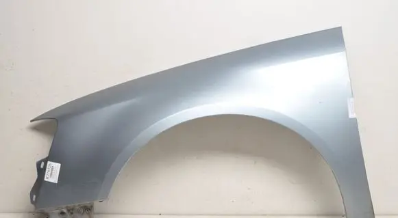 Volkswagen PASSAT B6 Fender 