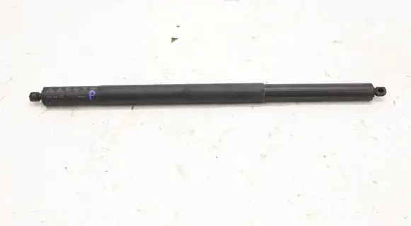 Tailgate strut