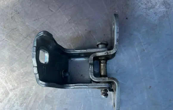Rear door lower hinge