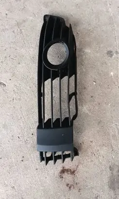 Volkswagen PASSAT B5.5 Front fog light trim/grill
