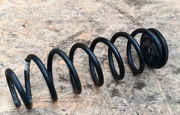 Rear coil spring