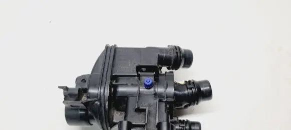 Thermostat/thermostat housing