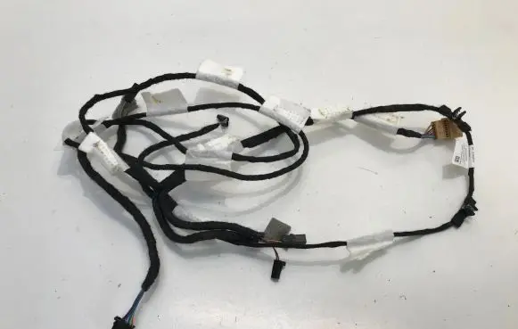 Cupra Born Other wiring loom 10A971100E