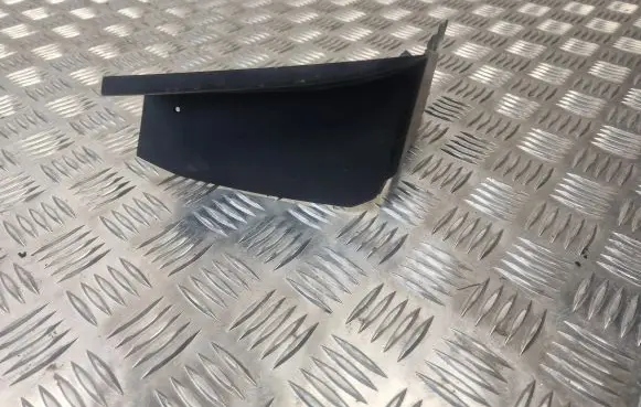 Rear/tail light trim molding