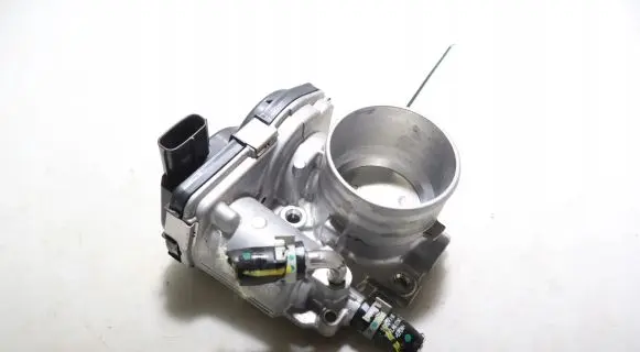 Throttle body valve