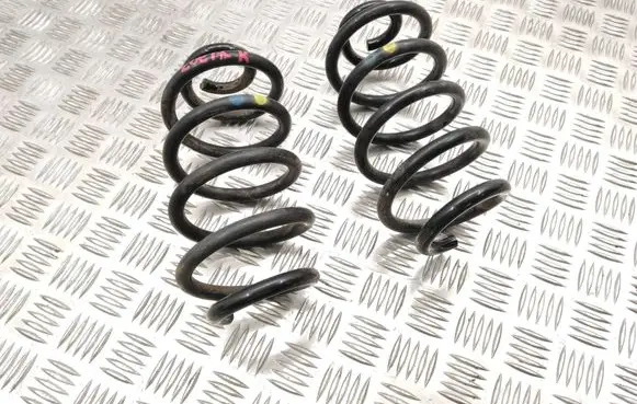 Rear coil spring