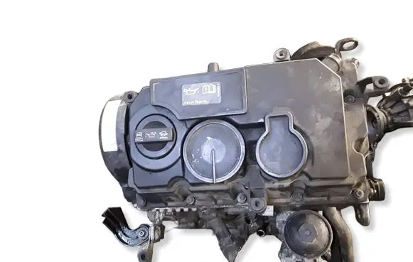 Seat Ibiza IV (6J,6P) Engine 