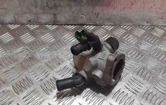 Thermostat/thermostat housing