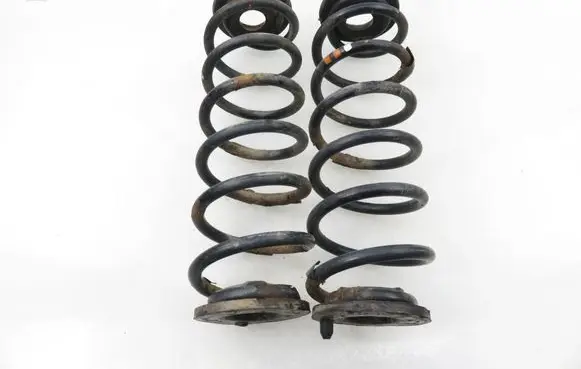 Volkswagen Golf V Rear coil spring 