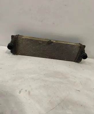 Volkswagen Crafter Intercooler radiator A9065010201 6819171