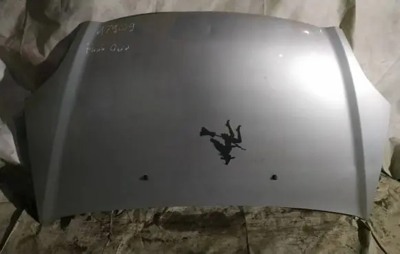 Engine bonnet/hood