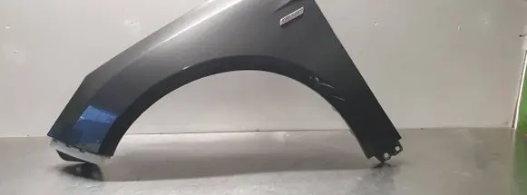 Ford Focus Fender
