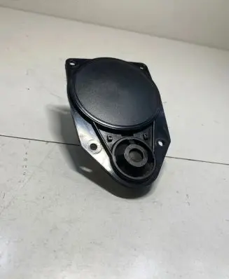 Panel speaker