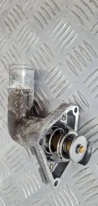 Thermostat/thermostat housing