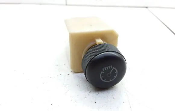 Panel lighting control switch