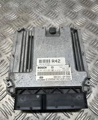 Hyundai Santa Fe Engine control unit/module 391162F300 391012F300 0281019026