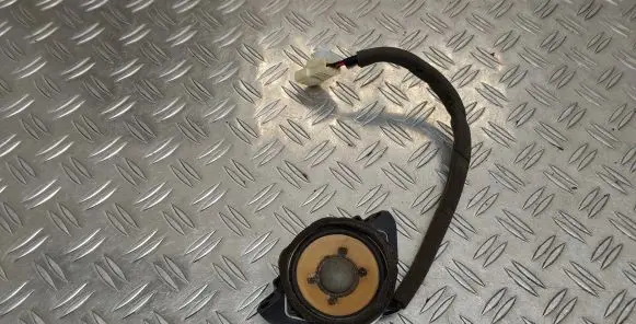 Panel speaker