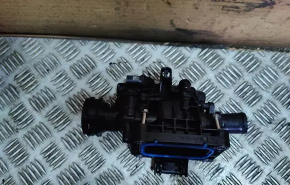 Thermostat/thermostat housing