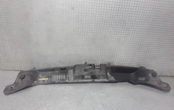 Engine bonnet/hood lock trim molding