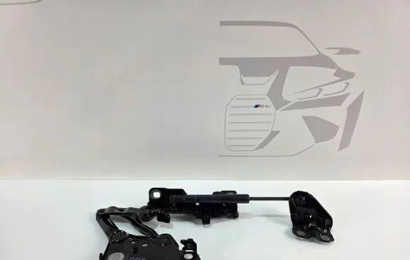 BMW X5 G05 Engine bonnet/hood hinges 