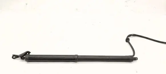 Toyota RAV 4 (XA50) Tailgate/trunk strut/damper 6892042020