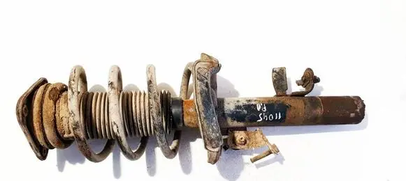 Ford Focus Front shock absorber/damper 