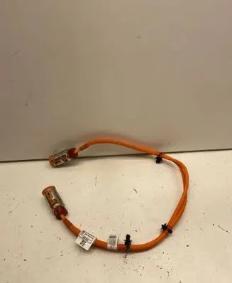 BMW iX1 Other wiring loom 5A1CA70 767003905A