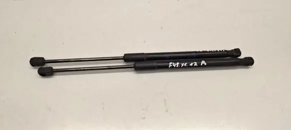BMW X1 F48 F49 Front bonnet/hood damper/strut 7329410
