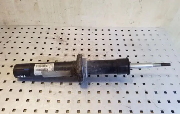 BMW X6 E71 Front shock absorber/damper 14941510