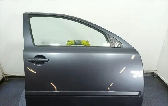 Skoda Octavia Mk2 (1Z) Front door 