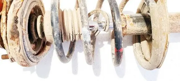 Rear coil spring