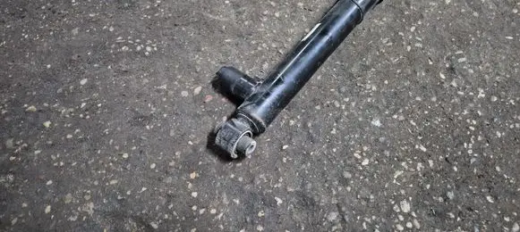 Cupra Formentor Rear shock absorber/damper 5WA512009AB AHQ101 EM495601