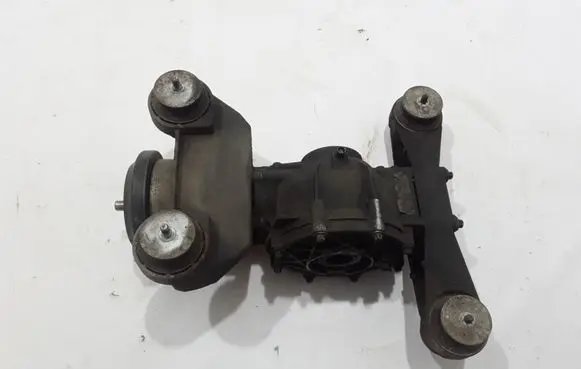 Renault Scenic I Rear differential 7700112918