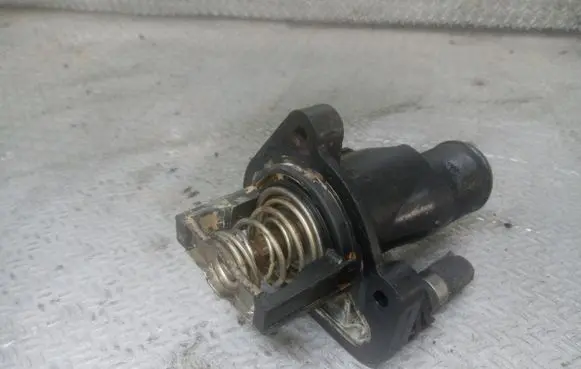 Thermostat/thermostat housing