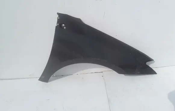 Renault Laguna III Fender foam support/seal 