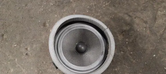 BMW X5 E53 Rear door speaker 65138379093
