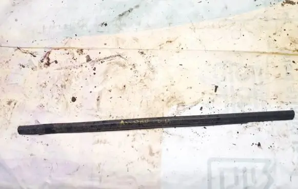 Rear door glass trim molding