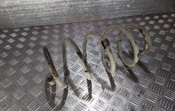 Front coil spring