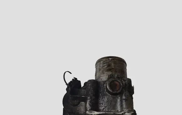 Renault Trafic II (X83) Throttle valve 8200987453 H8200727648 319101451