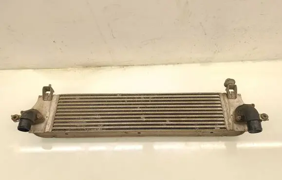 Nissan Qashqai+2 Intercooler radiator G3062007
